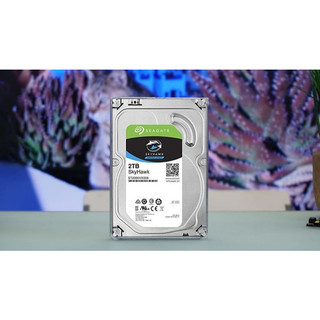 Ổ Cứng HDD PC 3.5" SEAGATE Skyhawk 2TB - Chuyên Camera phanphoisitoanquoc2020