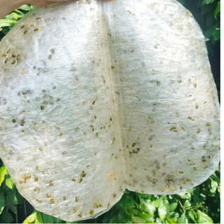 1kg Bánh tráng phơi sương dẻo hành lá không cay- ĂN CHAY ĐƯỢC - Đặc sản Củ Chi loại 1 ăn liền