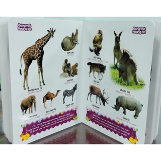 Sách: Từ Điển Tranh Về Con Vật B100 (Bìa Cứng)