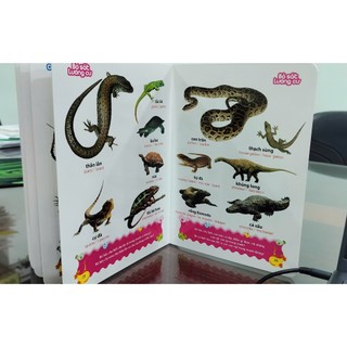 Sách: Từ Điển Tranh Về Con Vật B100 (Bìa Cứng)