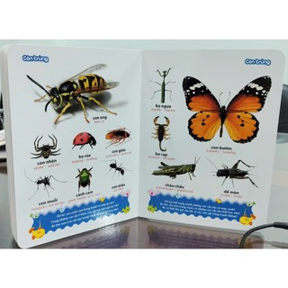 Sách: Từ Điển Tranh Về Con Vật B100 (Bìa Cứng)