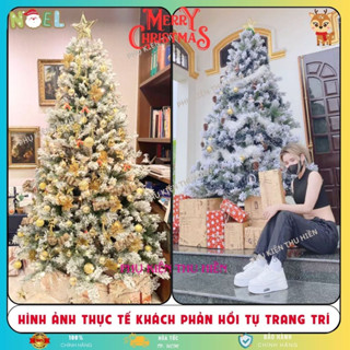 Cây Thông Noel Phủ Tuyết  A4 1m2,1m5,2m1,2m4,3m Trang Trí Giáng Sinh Tặng Kèm Ngôi + Dây KT