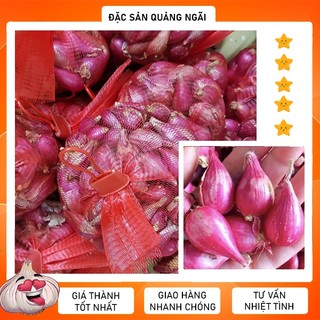  HÀNH TÍM LÝ SƠN LOẠI 1 500g HÀNH ĐỎ LÝ SƠN  THƠM NGON ĐẶC BIỆT ĐẶC SẢN QUẢNG NGÃI 