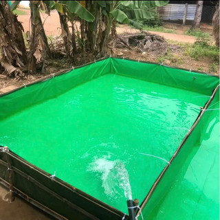 Bể bạt xanh đen nuôi ốc ếch cá lươn tôm cua baba... Tặng van xả nước - Ấn mua để chọn kích thước