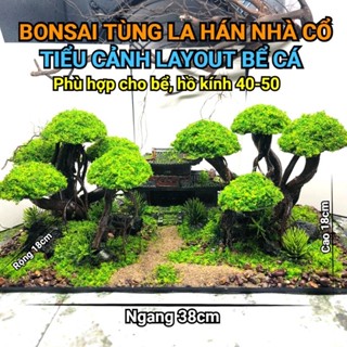 Layout tiểu cảnh setup sẵn cho bể cá mini để bàn, sử dụng vật liệu tự nhiên, rêu nhựa thủy sinh