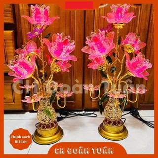 MỘT CẶP ĐÈN BÌNH BÔNG THUỶ TINH CAO CẤP