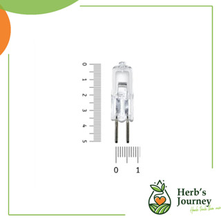 Bóng đèn đèn xông tinh dầu - Phụ kiện thay thế cho đèn xông tinh dầu gốm sứ Bát Tràng