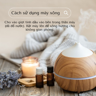 Tinh dầu Đại hồi thiên nhiên nguyên chất - Xông phòng thơm mát, thư giãn, ngủ ngon - 10ml/ 50ml/ 100ml