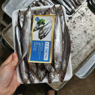 Cá Trứng ngon loại 1