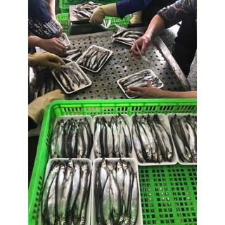Cá Trứng ngon loại 1