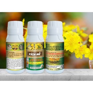Kích Rễ Chuyên Dùng Cho Mai Vàng Cây Kiểng 100ml