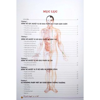 Sách - Đồ Giải Huyệt Vị Cơ Thể - NXB Hồng Đức
