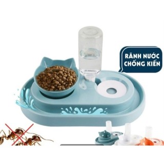 😺🦊 Bát Ăn Uống Tự Động Chống Kiến Cho Chó Mèo – Kèm Bình Nước Tiện Lợi 69
