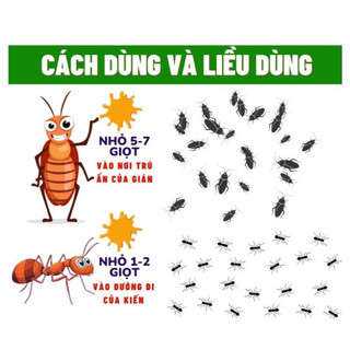 Combo 10 lọ thuốc diệt kiến gián tận gốc