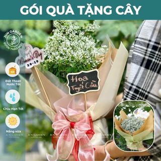 Gói Giấy Quà Tặng Cho cây nhỏ JUN GARDEN - Không Gồm Cây