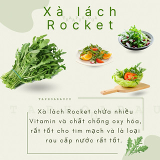 Rau Xà Lách Rocket tươi ( giao hoả tốc )