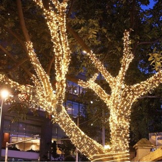  Dây đèn LED trang trí có   không nháy chớp 50m   100m   20m  mét  trắng vàng đa sắc cây sân vườn noel giáng sinh 