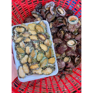 Nõn bào ngư thiên nhiên Nha Trang nhỏ khay 300gram (45-60nõn)