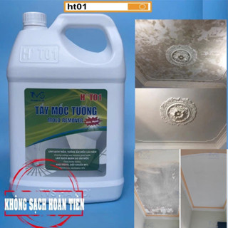Tẩy mốc tường, trần, quần áo HT01- TVS (5 lít) khử trùng,diệt khuẩn 99,99% đa năng