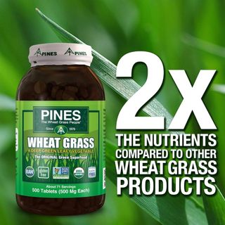 Viên cỏ lúa mì hữu cơ Pines organic wheatgrass 500 viên