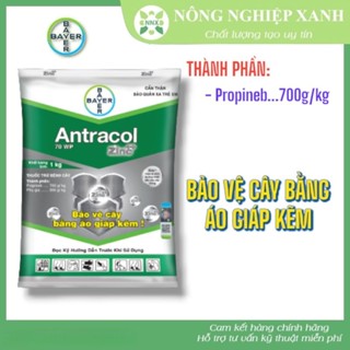 Antracol 70WP 100GR - Thuốc trừ bệnh cây trồng - Sản phẩm của Bayer