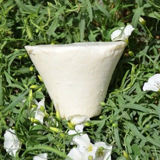 XÀ PHÒNG SỮA DÊ TÂN CƯƠNG TRẮNG SÁNG DA HANDMADE - HÀNG CHẤT LƯỢNG CHUẨN TÂN CƯƠNG