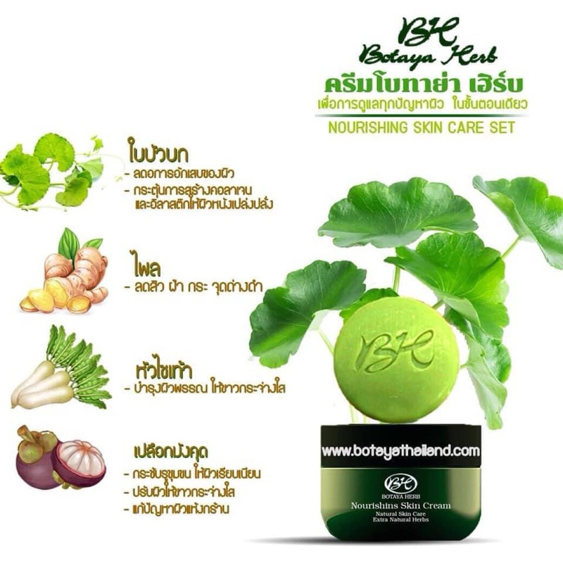 BH botaya herb