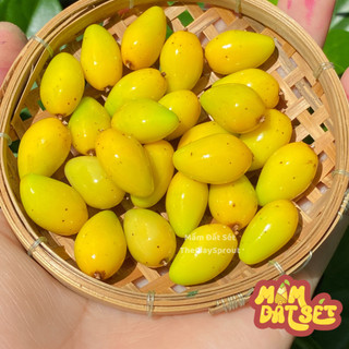 Quả xoài chín mini cho nhà búp bê từ đất sét tỉ lệ 1/6