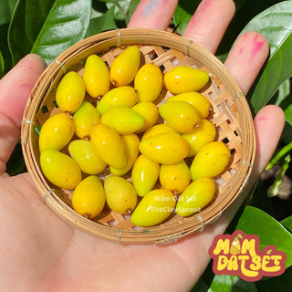 Quả xoài chín mini cho nhà búp bê từ đất sét tỉ lệ 1/6