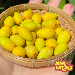 Quả xoài chín mini cho nhà búp bê từ đất sét tỉ lệ 1/6