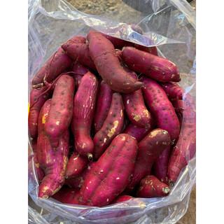 khoai lang nhật Đà Lạt 9kg size trung 6-9 củ kg