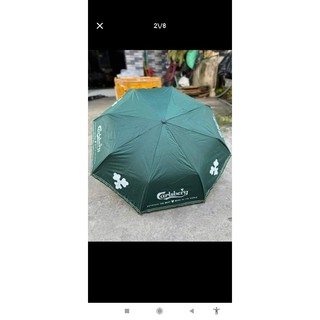 Dù tự bung gấp gọn tự động