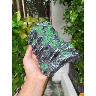 Hang trú ẩn cho thằn lằn da báo…
