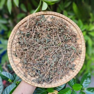 Cây bọ mắm tím, cây dòi thân tím 500g - hỗ trợ ho hen lâu ngày, long đờm.
