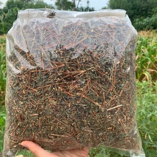 Cây bọ mắm tím, cây dòi thân tím 500g - hỗ trợ ho hen lâu ngày, long đờm.