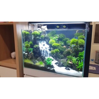 Cát trắng 2kg trang trí hồ thủy sinh