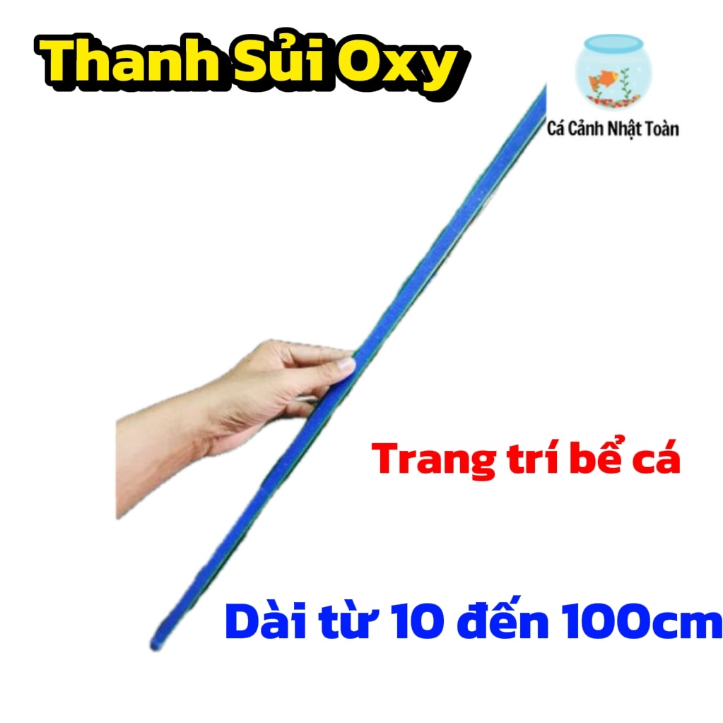 THANH SỦI ĐÁ BỌT OXY HỒ CÁ NON BỘ 60CM ĐẾN 100CM