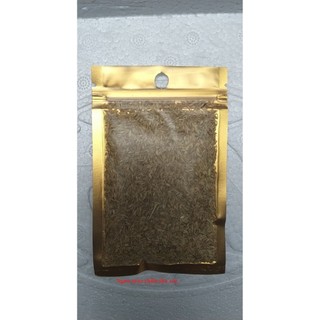 Hạt giống thuỷ sinh ( ngưu mao chiên lùn )