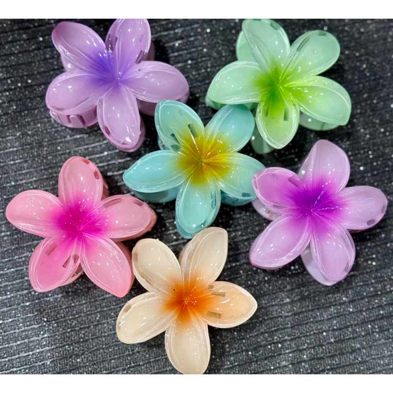 KẸP TÓC CHO NỮ