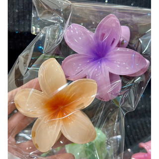 KẸP TÓC CHO NỮ