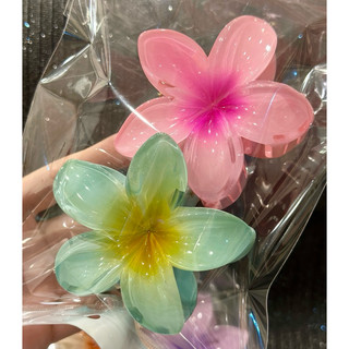 KẸP TÓC CHO NỮ