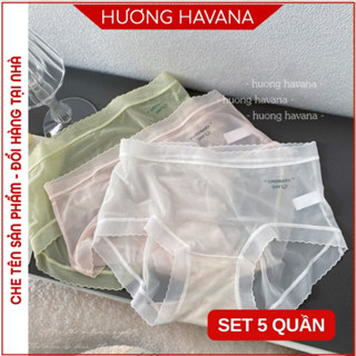 COMBO 5 Quần lót nữ su tơ siêu mỏng co giãn tàng hình không lộ viền FLQ218