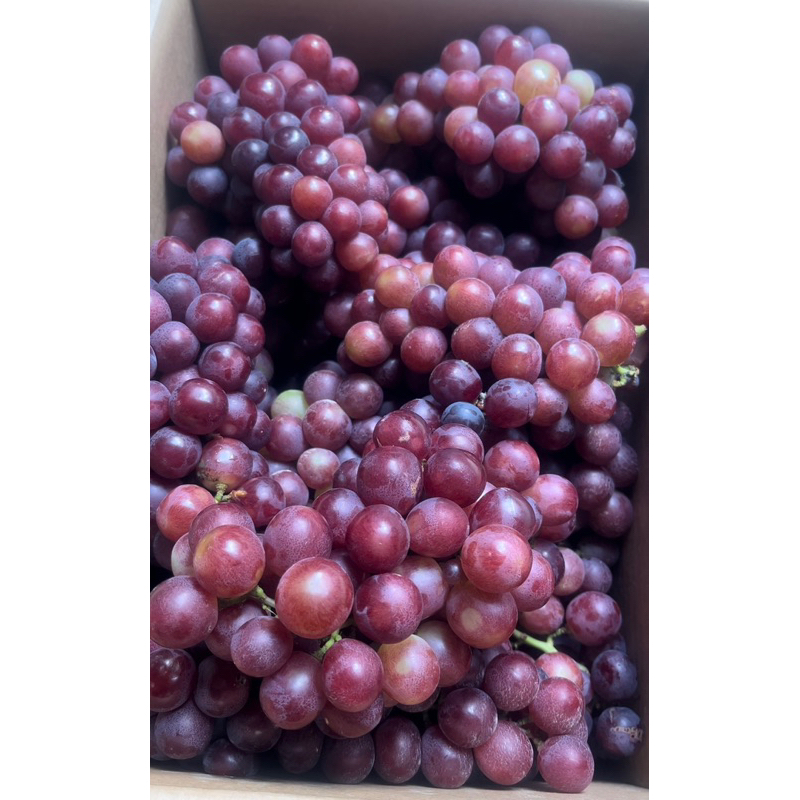 NHO PHAN RANG NINH THUẬN 💥💥 Combo 2Kg