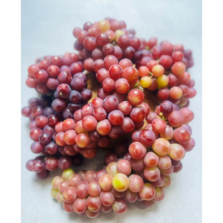 NHO PHAN RANG NINH THUẬN 💥💥 Combo 2Kg
