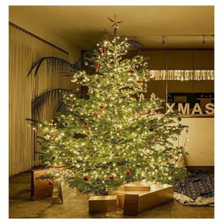  Đèn led dây 10m 50m led hạt gạo trang trí tiệc quấn cây làm rèm dây trang trí  hàng sẵn có hỏa tốc  