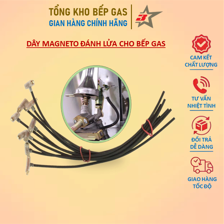 IC Đánh Lửa Bếp Gas Đôi - Magneto