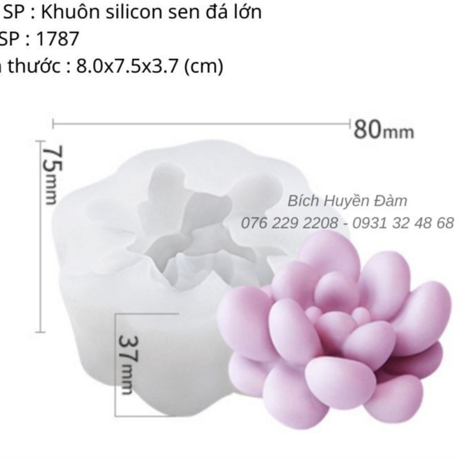 Khuôn silicon 4D - Sen đá