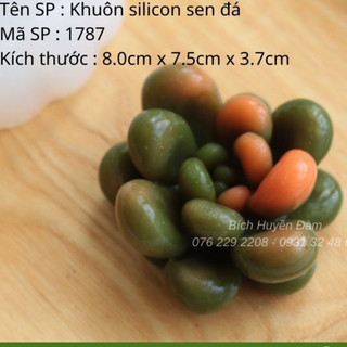 Khuôn silicon 4D - Sen đá