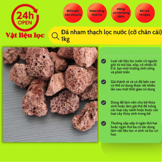 Đá nham thạch lọc nước (cỡ chân cái) 1kg