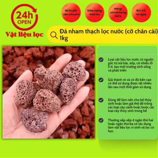 Đá nham thạch lọc nước (cỡ chân cái) 1kg